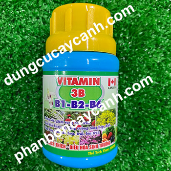 Vitamin 3B (B1-B2-B6) Canada 100ml